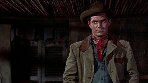 Schieß oder stirb! Bild 4