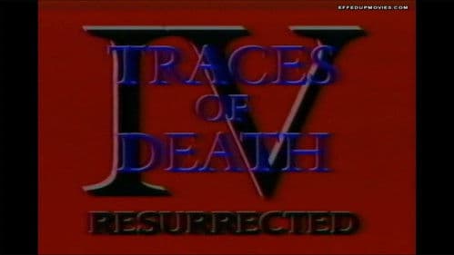 Traces Of Death IV Bild 2