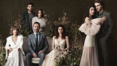 Şahin Tepesi Bild 2