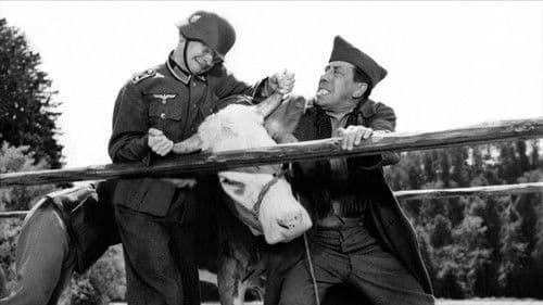 Ich und die Kuh Bild 4