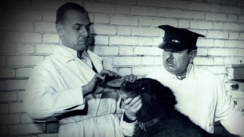 Balto - helten fra Alaska Bild 3