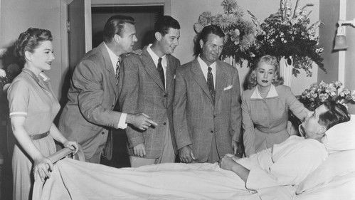 Follow the Sun Bild 4