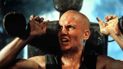 American Shaolin Bild 3