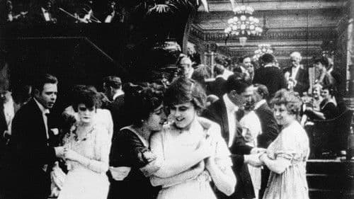 A Florida Enchantment Bild 2