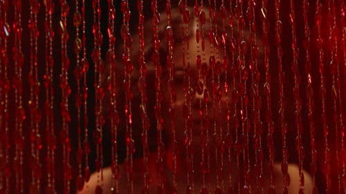 XConfessions 17 Bild 5