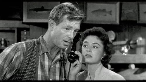 Abwehr greift ein Bild 2