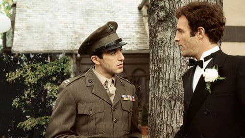 Der Pate - Die Saga Bild 8