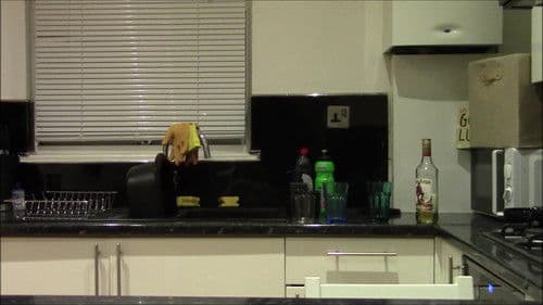 The Decimation of Sanity Bild 7