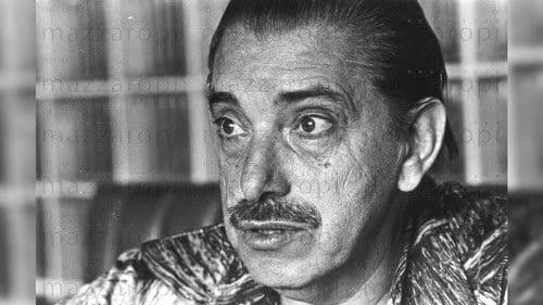 Meu Japão Brasileiro Bild 1