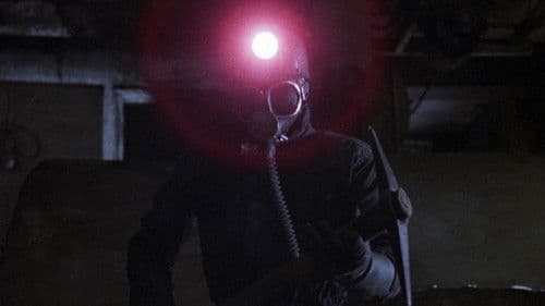 Blutiger Valentinstag Bild 6