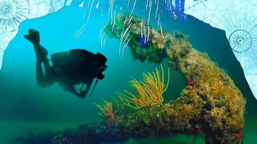 Piraten - Wie lebten sie wirklich? Bild 3