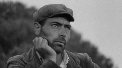 Die Banditen von Orgosolo Bild 4