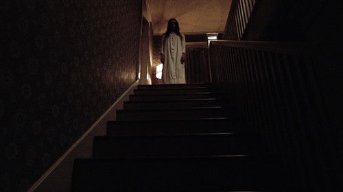 They Live in the Grey Bild 7