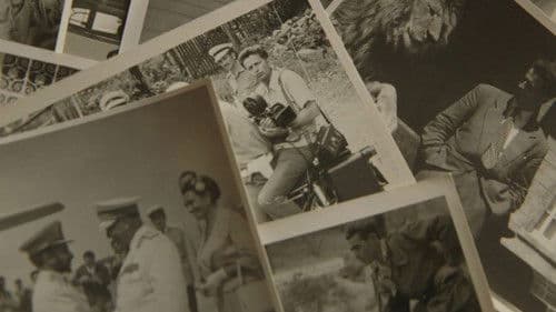 Досије Лабудовић Bild 1