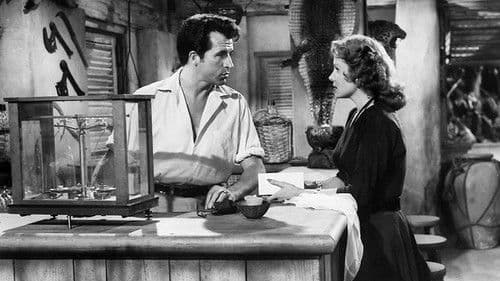 Der Schatz der Jivaro Bild 4