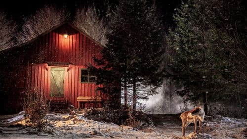 Prancer: A Christmas Tale Bild 2