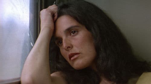 Objetos Perdidos Bild 3