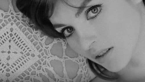 Trans-Europ-Express Bild 5