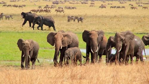 Faszination Afrika 3D Bild 1