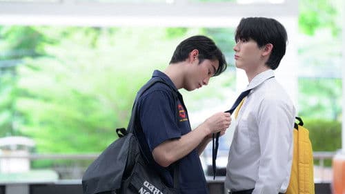 Perfect 10 Liners Bild 6