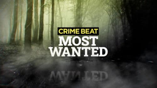 Crime Beat: Most Wanted Bild 1