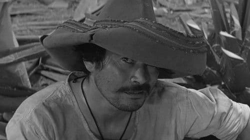 Ánimas Trujano Bild 5