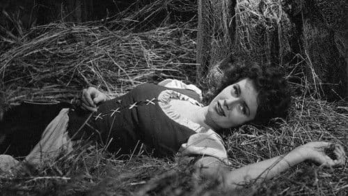 Harald Handfaste Bild 1