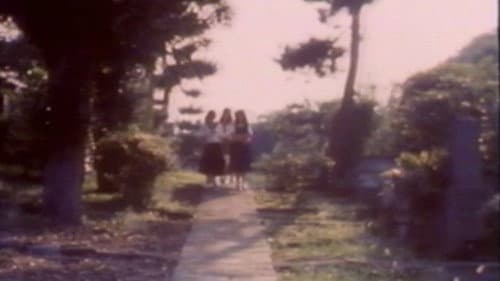 モモコワンダーランド　ストレンジハウス Bild 1