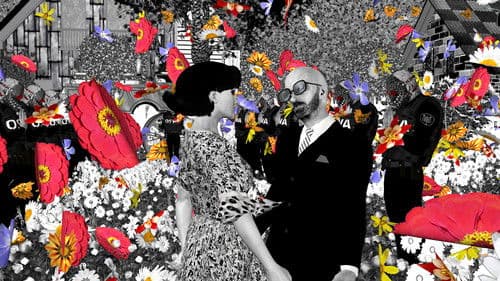 When Black Birds Fly Bild 3