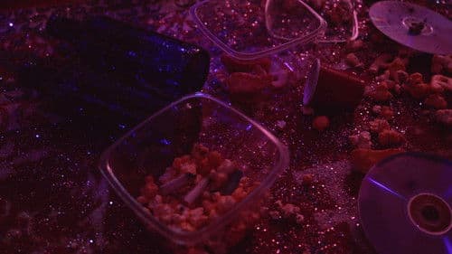 Canciones para el fin del mundo Bild 8