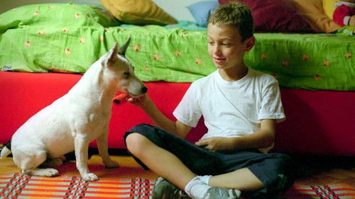 La guerra di Mario Bild 2