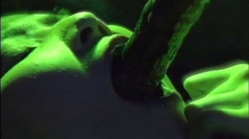 淫獣教師 実写版 Ⅲ Bild 1