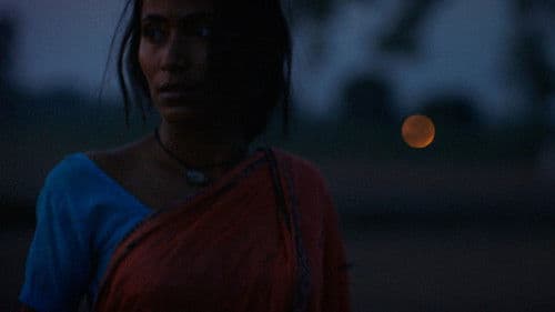 Le Champ de Maïs Bild 4