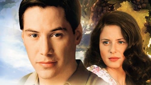 Dem Himmel so nah Bild 2