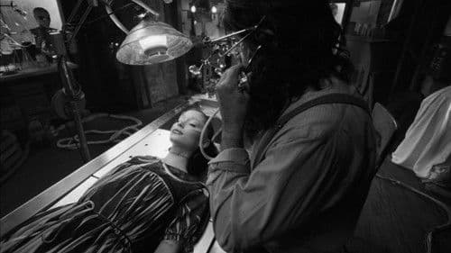 Brighter Days Ahead Bild 5