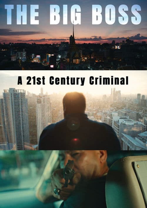 The Big Boss: A 21st Century Criminal
