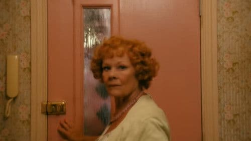 Mr. Hoppys Geheimnis Bild 4