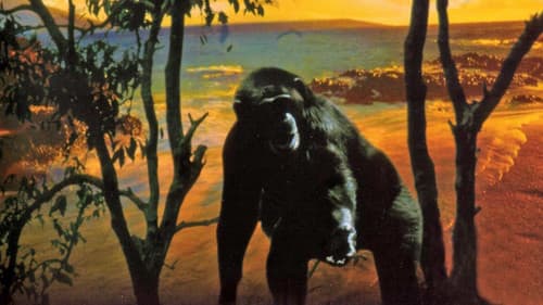 Le Bestiaire d'amour Bild 1