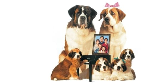 Eine Familie namens Beethoven Bild 1