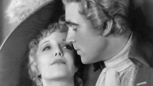 Sweet Kitty Bellairs Bild 1