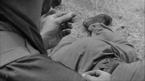 Tag ohne Ende Bild 8