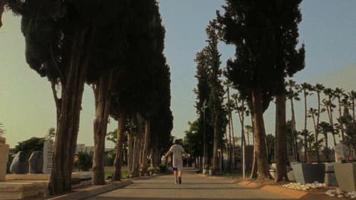 חרבות  של אור Bild 6