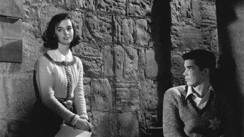 Das Tagebuch der Anne Frank Bild 2