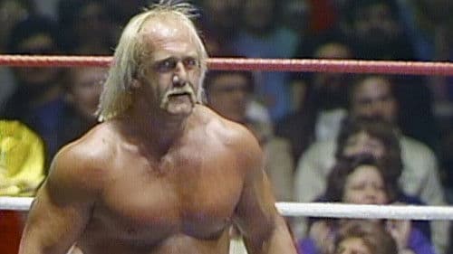 The Hulkster Hulk Hogan Bild 1