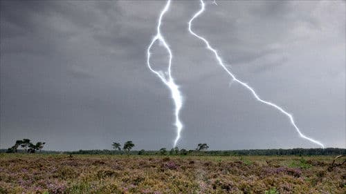 Onze Natuur, De Film Bild 4