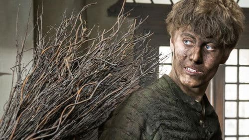 Der Zauberlehrling Bild 1