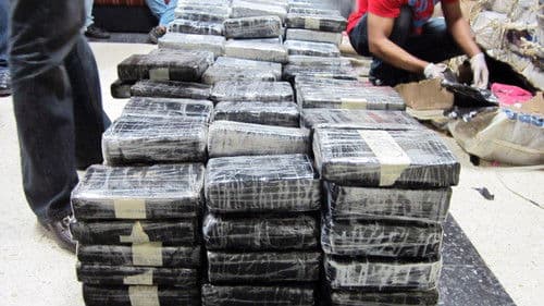 Inside Cocaine Wars Bild 2