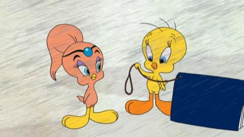 Tweety - Für 80 Pfoten um die Welt Bild 2