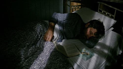 Bedrängnis im Mai Bild 2