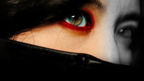 Lady Vengeance Bild 1